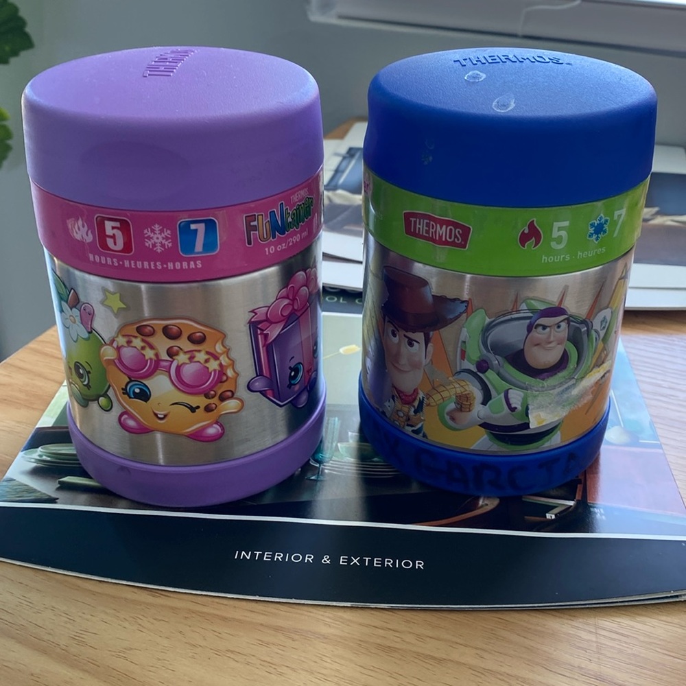 2 kid thermos 10oz funtainer